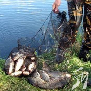 ������� ������������������ ���� � ��������� ����